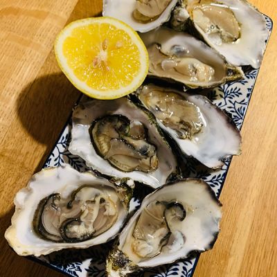 fischplatten-5