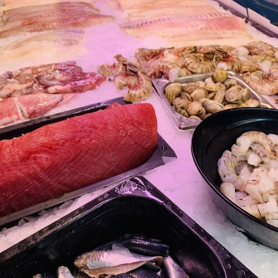 frisch fisch-14