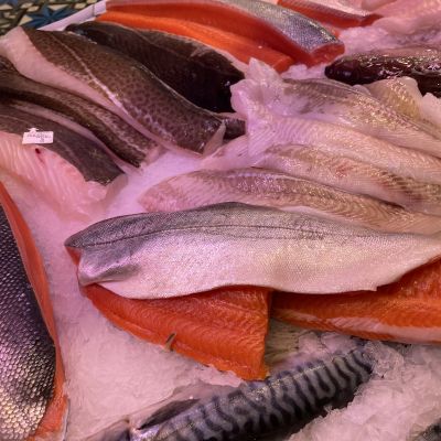 frisch fisch-20