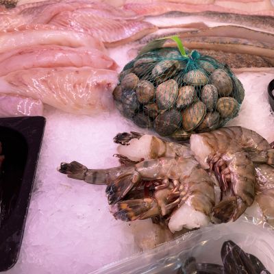 frisch fisch-21